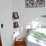 Romina * פולה